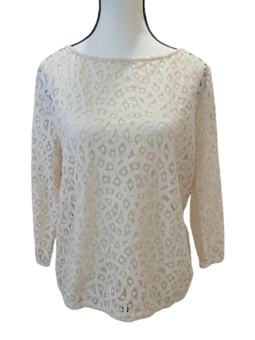LOFT Lace Blouse Ivory Feminine Cottagecore Soft Romantic Sheer Overlay Top M
